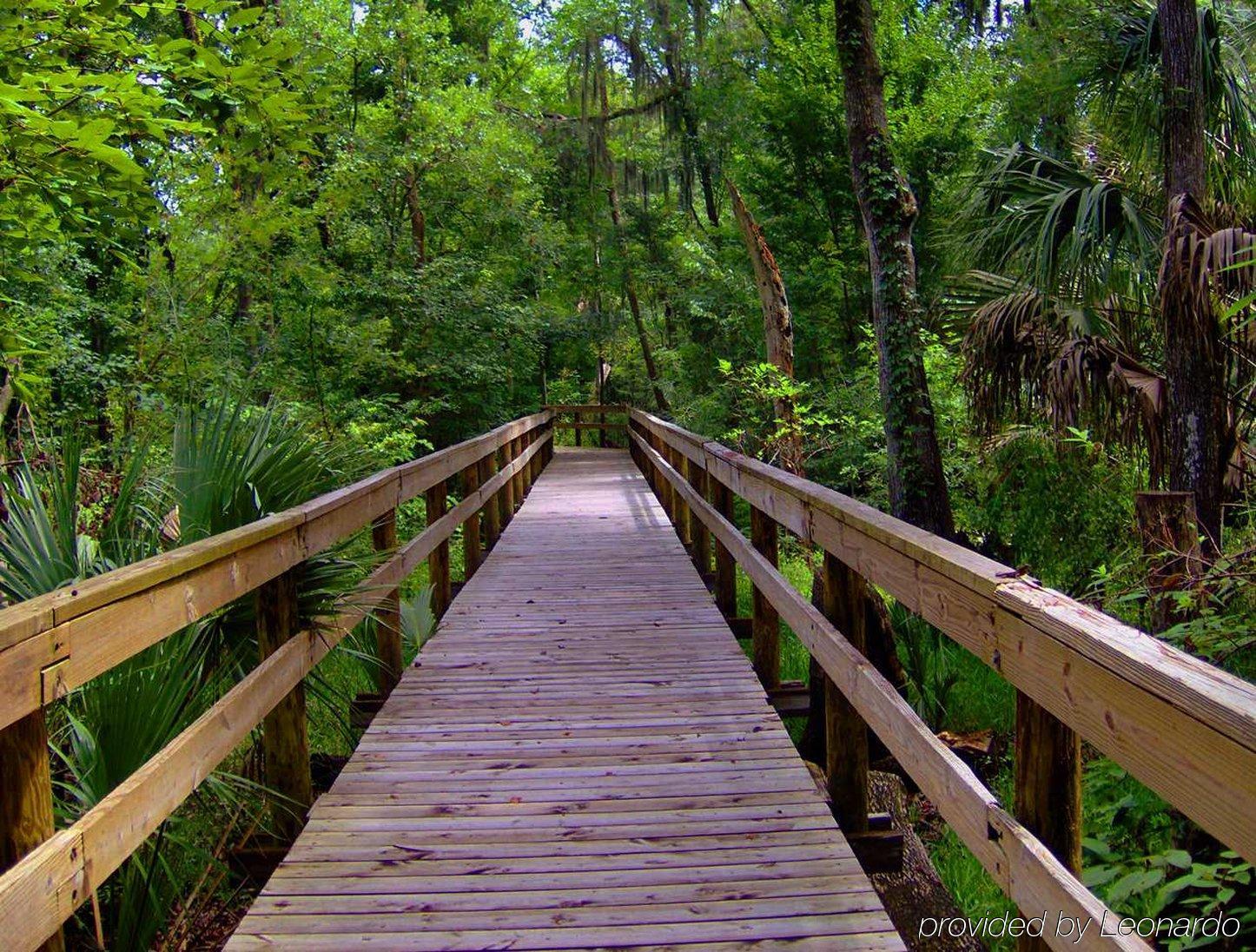 Hampton & Tampa-north Tampa