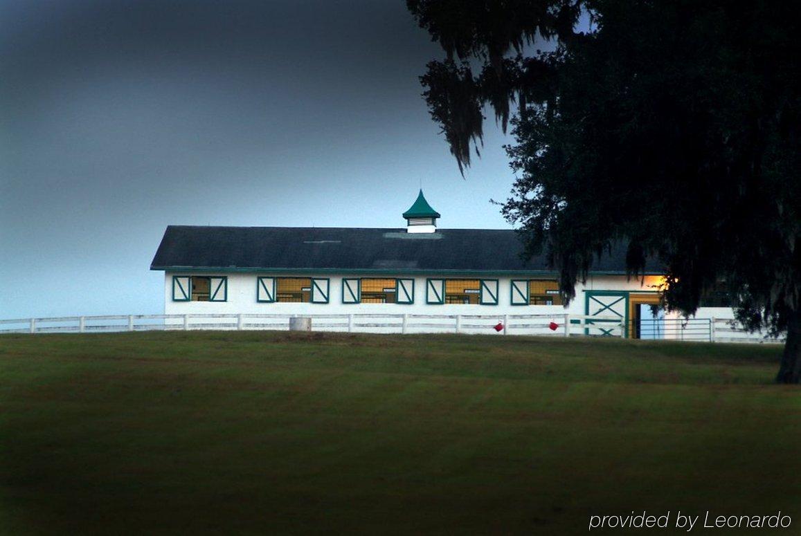 Hotel Express - Ocala By Ihg