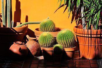 Inn Blue Seas Courtyard 3*