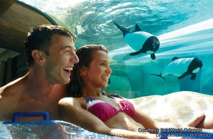 Homewood By Hilton Orlando-international Drive Convention Center 3* Williamsburg