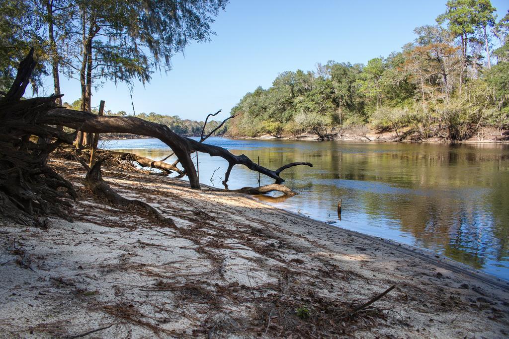 Ichetucknee Lodging At The Smoakhouse Ranch Bed & Breakfast 4*