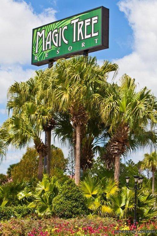 Hotel Magic Tree 3*