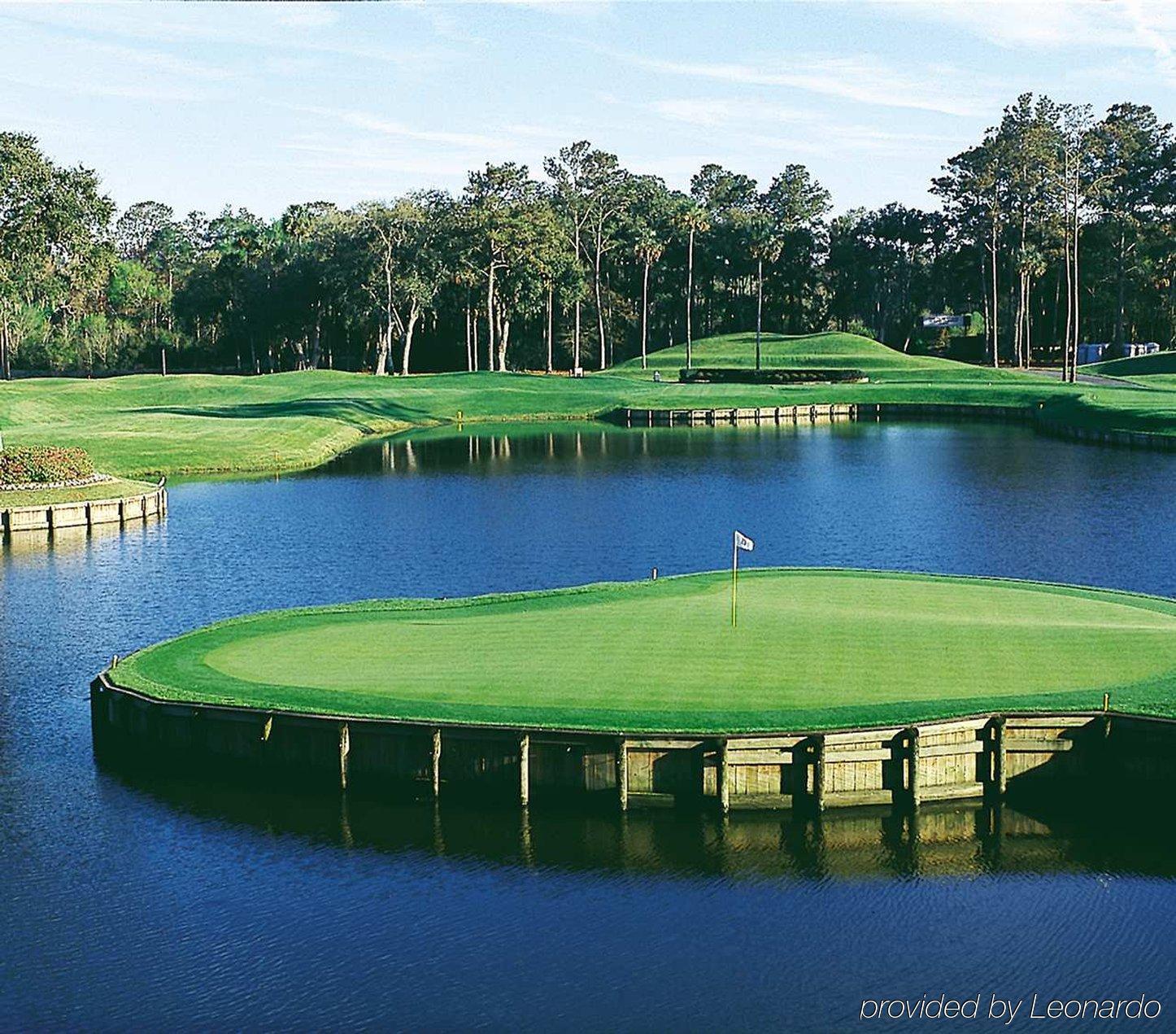 Hotel Hilton Garden Jacksonville Ponte Vedra Sawgrass 3*
