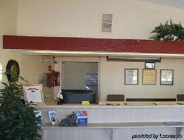 Knights Punta Gorda