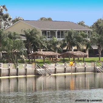 Roy - Winter Haven