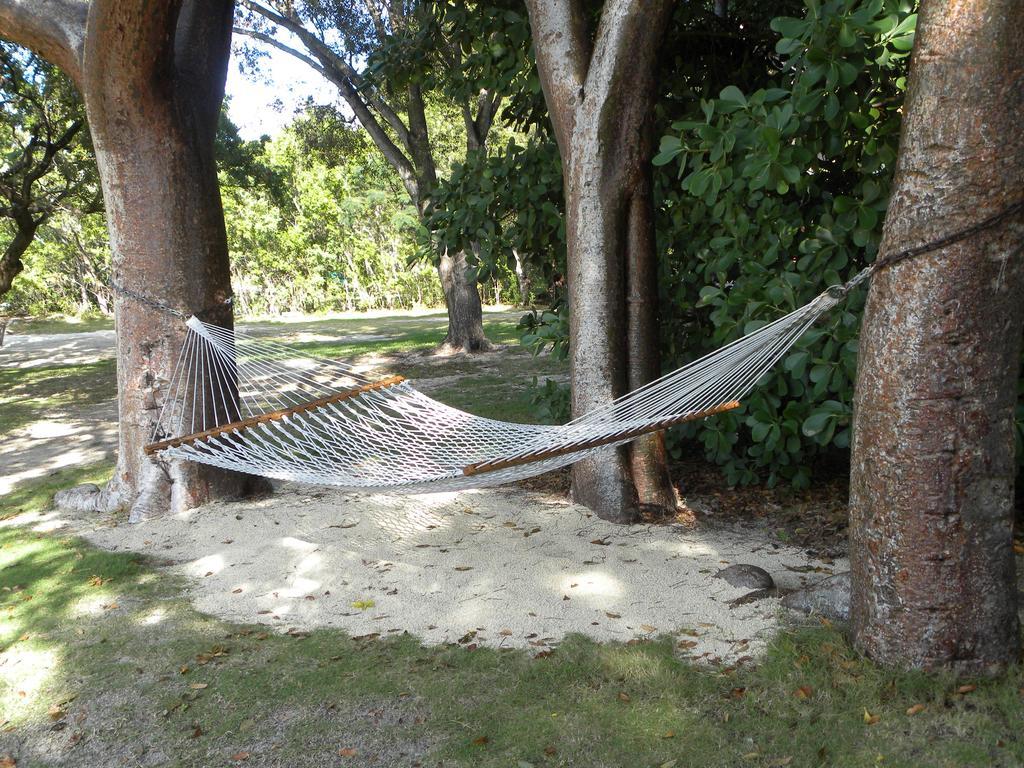 Rock Reef Key Largo