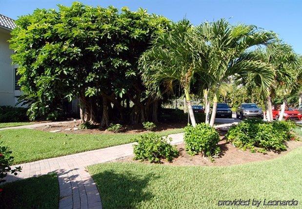 Siesta Sanibel