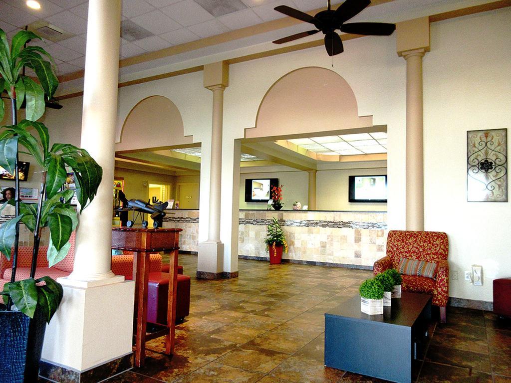 Roomba & At Old Town Hotel