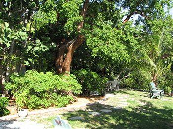 Sunshine Island - Adults Only