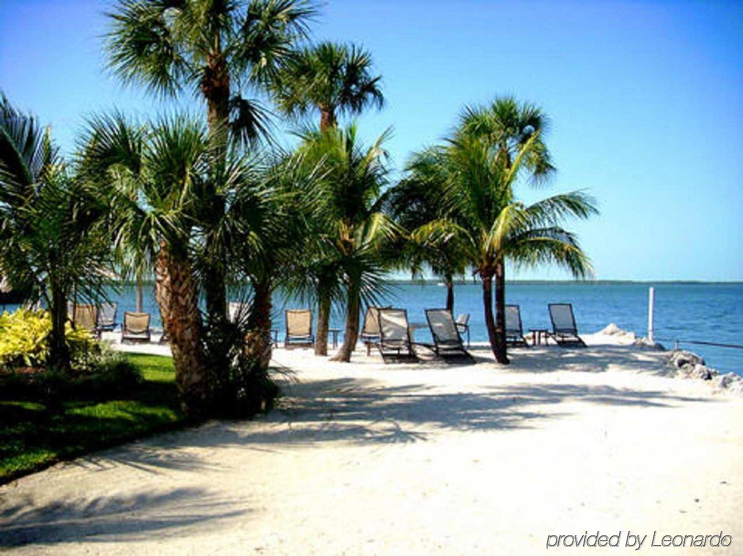 Hampton Hotel 3*