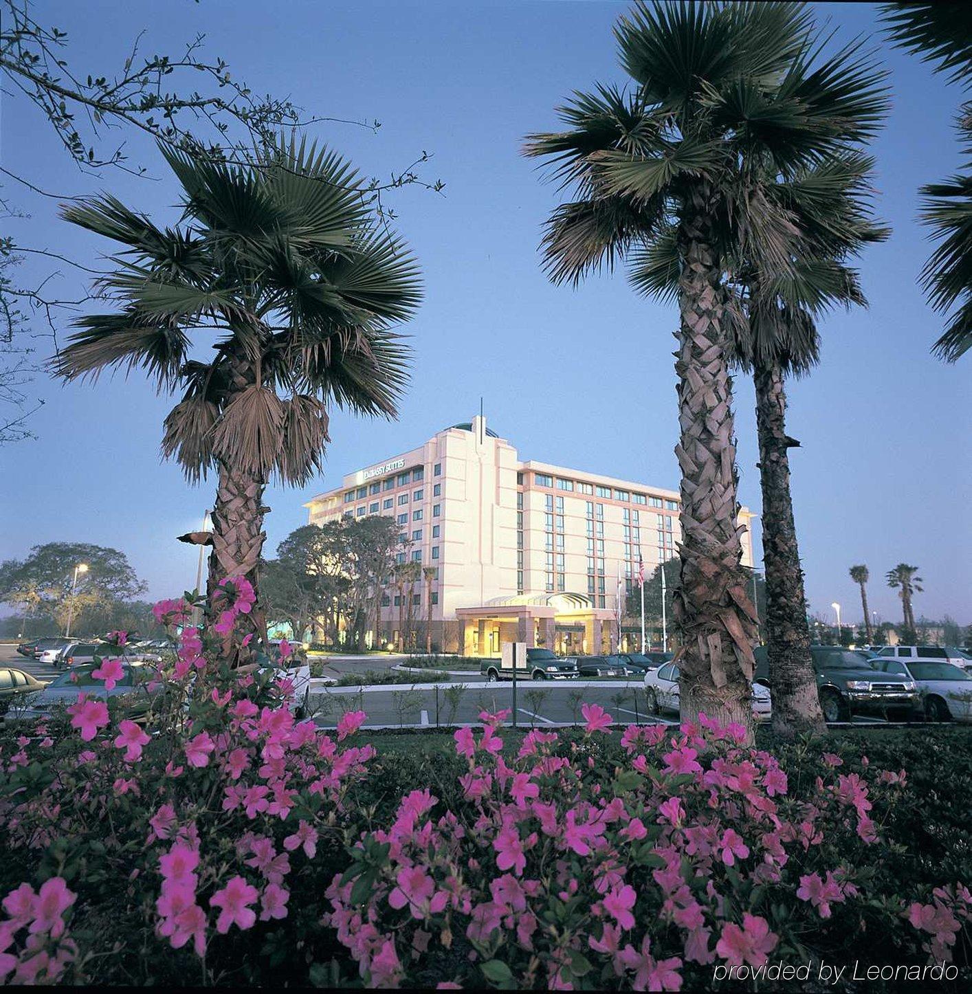 Embassy By Hilton Usf Near Busch Gardens Hotel 3*
