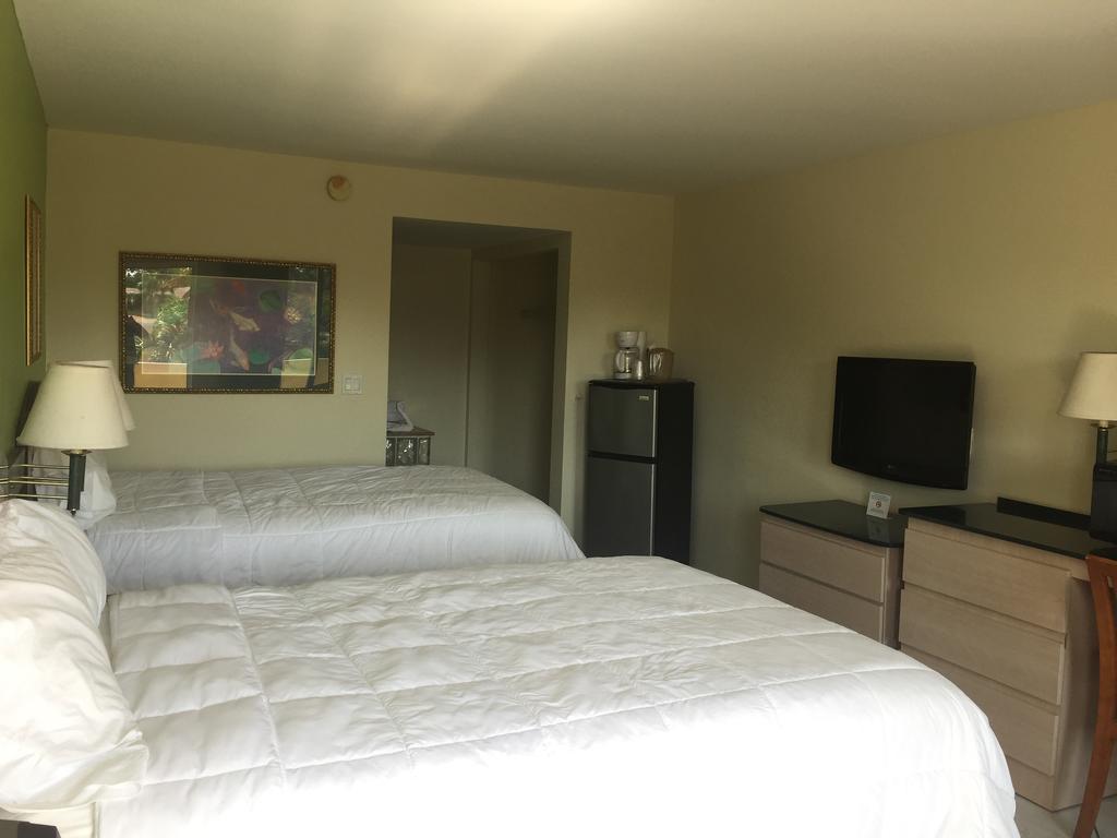 Motel Curtis &