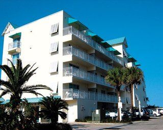 Coconut Palms 2*