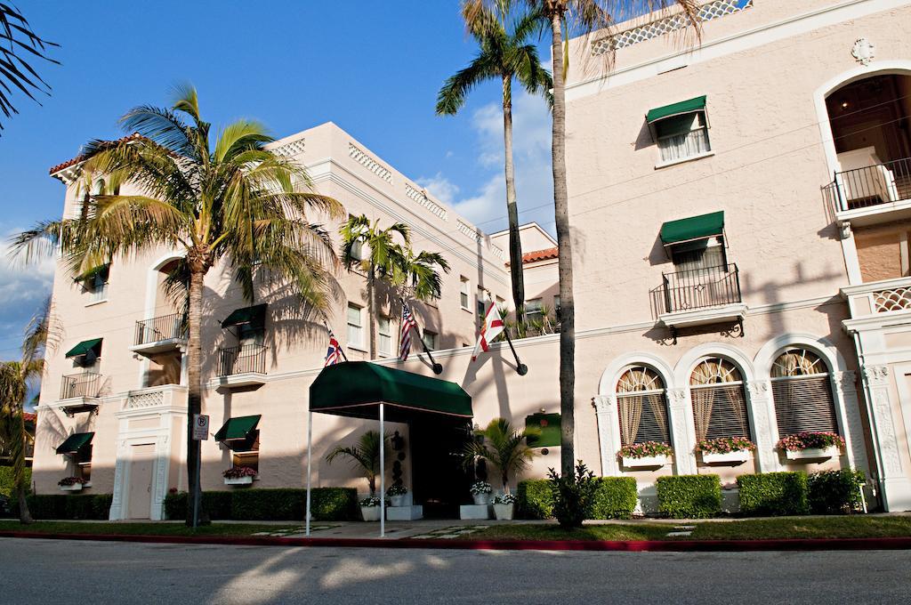 The Chesterfield Palm
