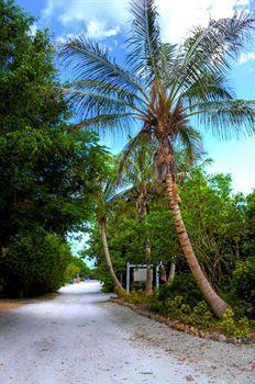 Inn Parrot Nest Sanibel
