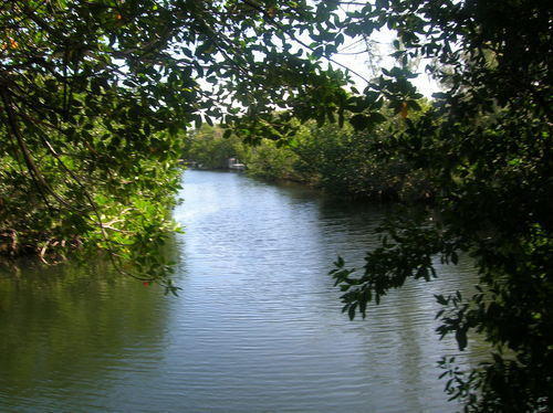 Apartment Ed & Ellen'S Canal Duplexes W/Dockage - Big Pine Key Big Pine Key