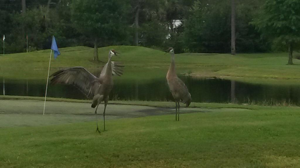 Lodge Road Runner Travel - Caravan Park Fort Pierce