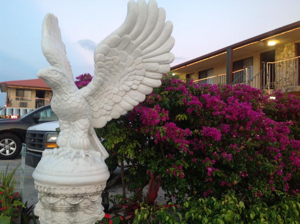 Motel Motor