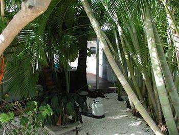 Motel Conch On 2*