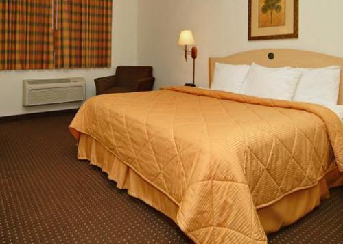 Inn Quality Plant - Lakeland
