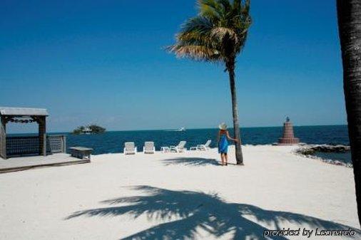 Resort Blackfin And Marina 2*