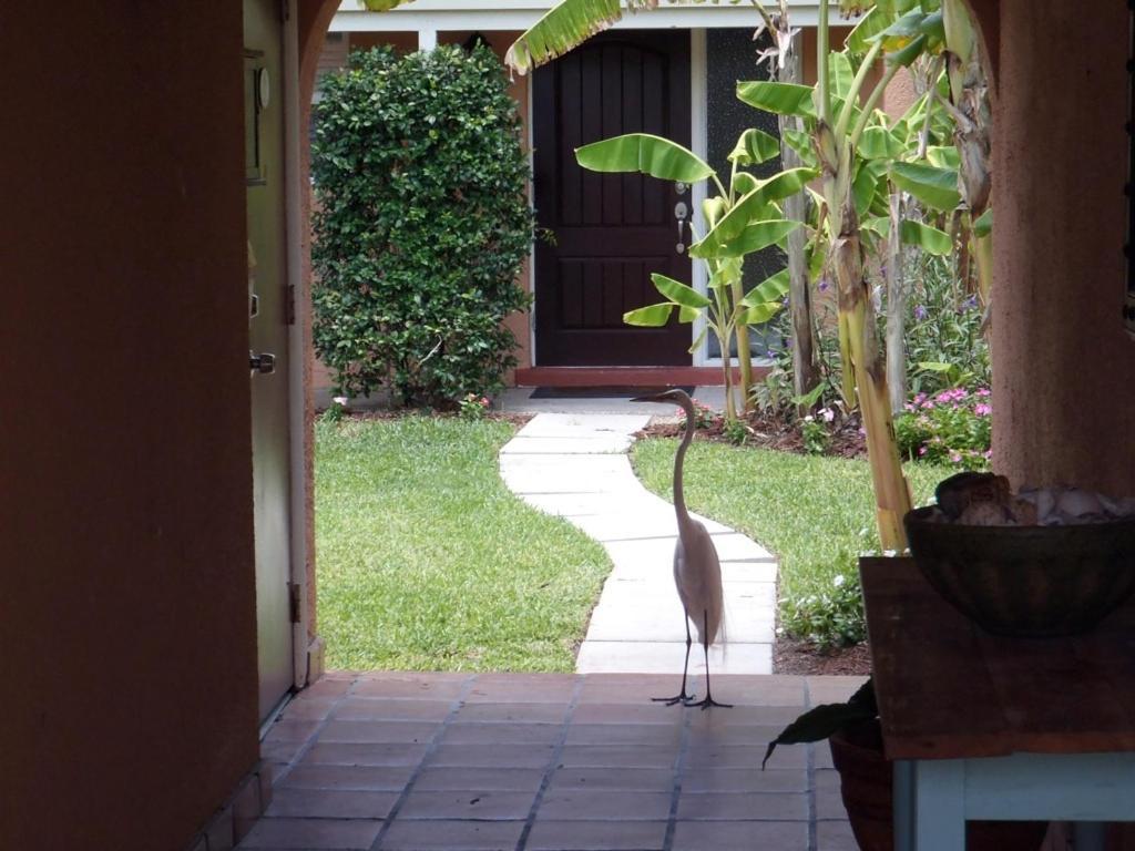 Beach Road Villas