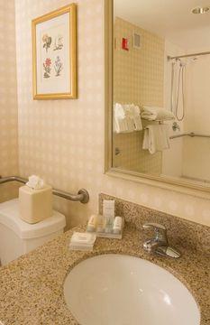 Hilton Garden Airport Hotel 3*