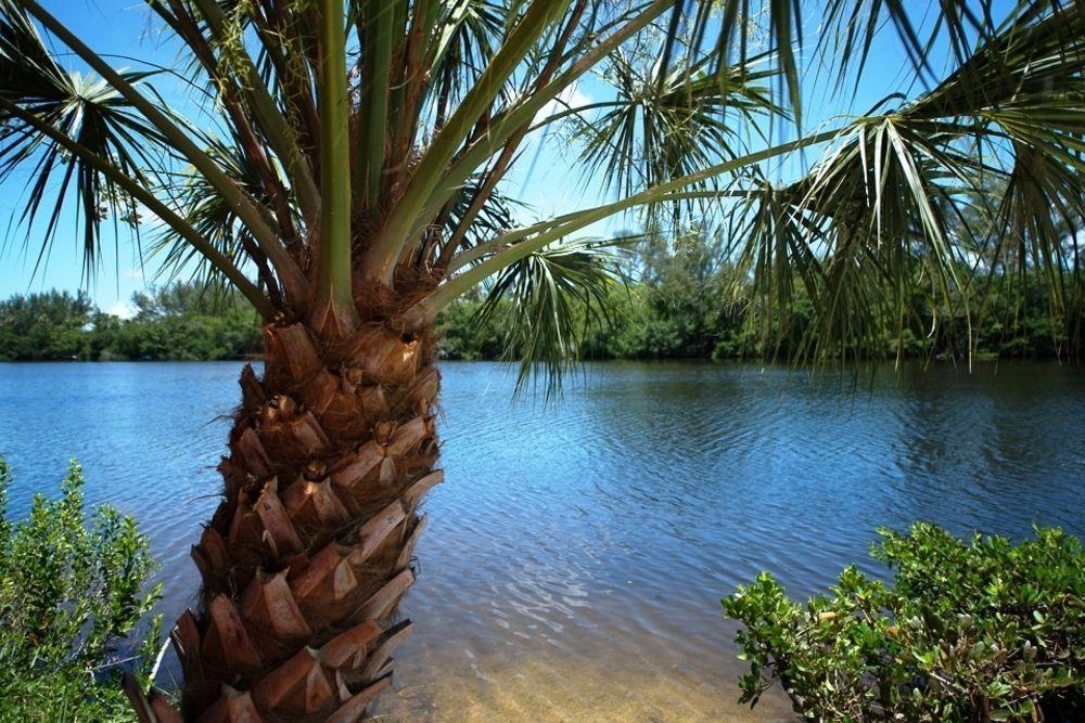 Flip Flop Cottages - Siesta Key Holiday home *