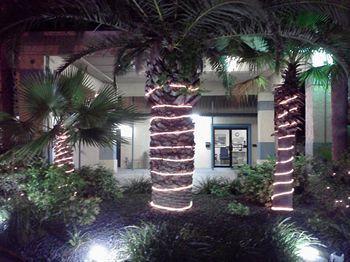 Extended Stay - Ormond Beach Motel 2*