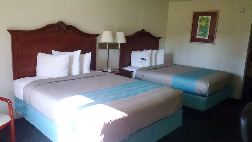 6-spring Hill, Fl - Hotel