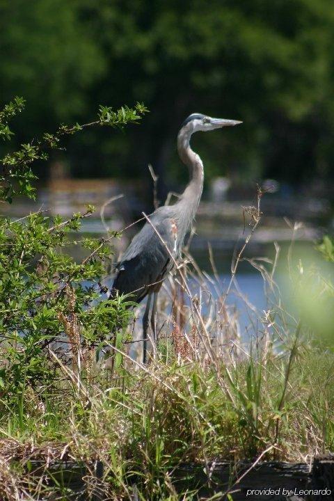 Tropical Marina & On Beresford 3* DeLand