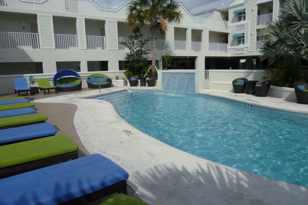 Silver Palms