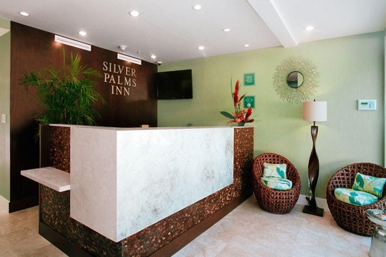 Silver Palms