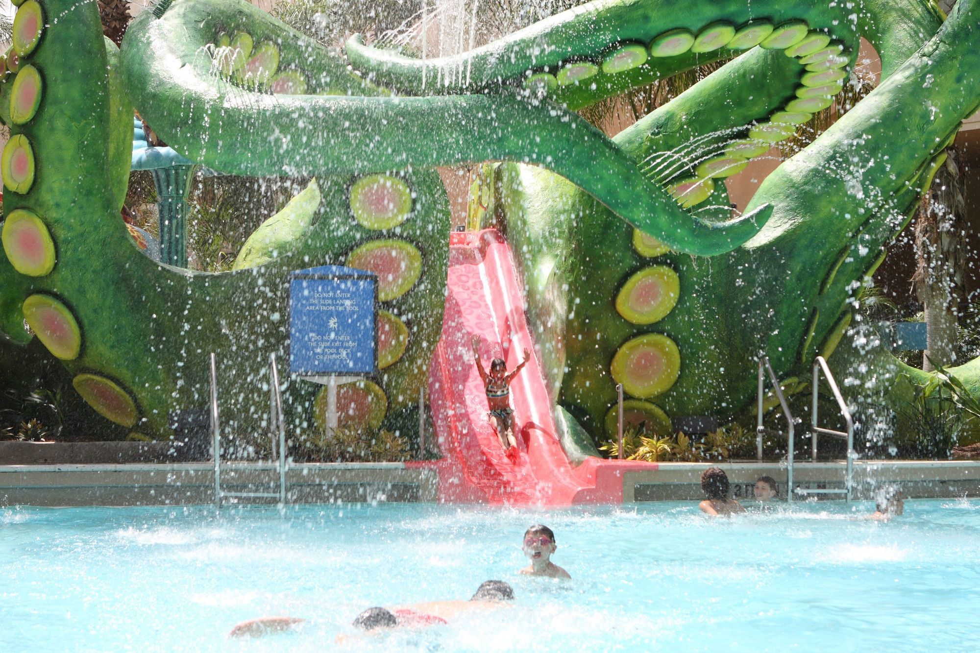 Resort Gaylord Palms & Convention Center Celebration