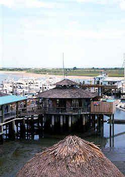 Resort The Conch House Marina