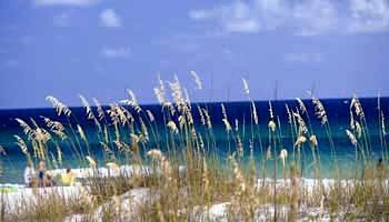 Sterling - Emerald Isle Laguna Beach