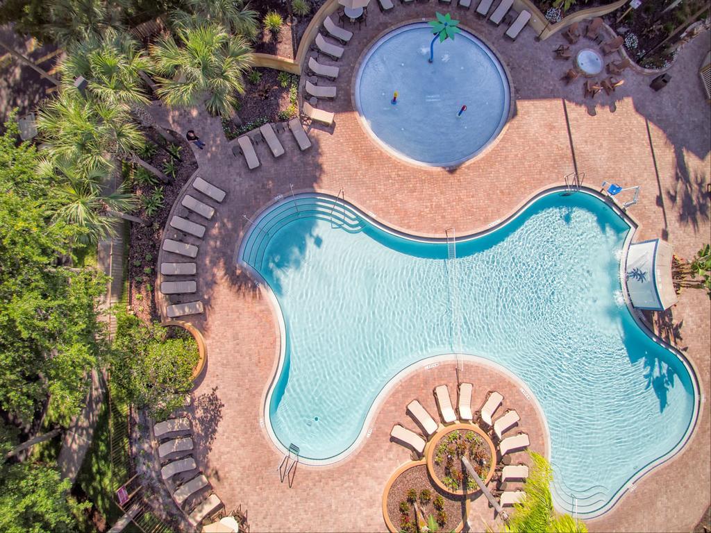 Resort Blue Tree At Buena Vista