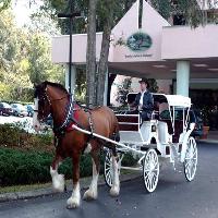 Hotel Hilton Ocala