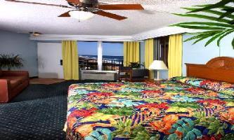 Coral Sands