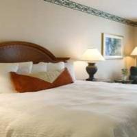 Hotel Hilton Garden Tampa North