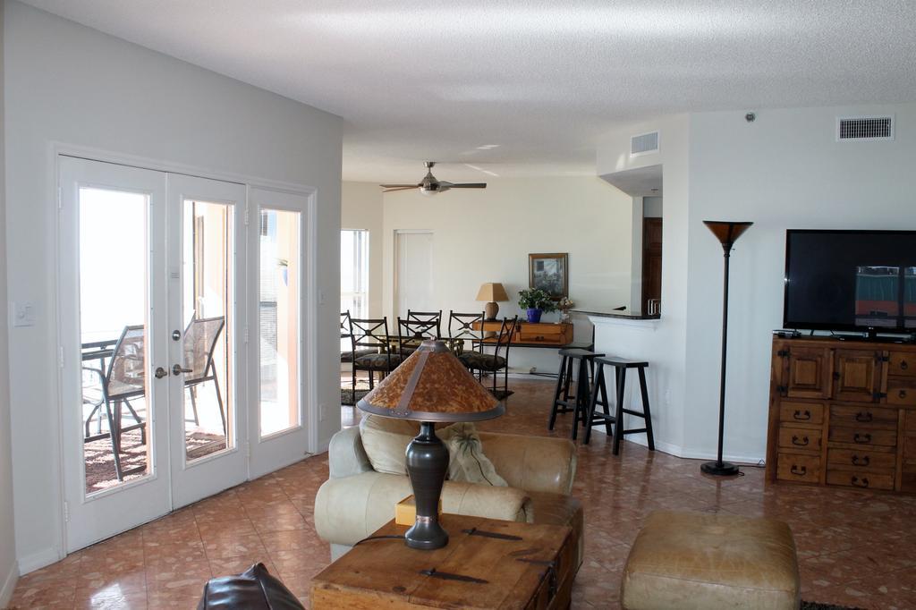Palms 504 *