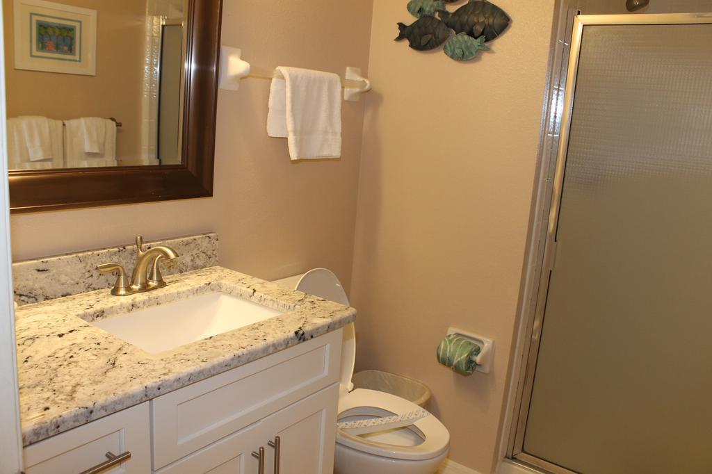 Beach Palms 404