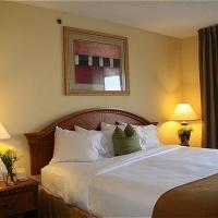 Express & Tampa-anderson Road-veterans Exp By Ihg 2* Tampa