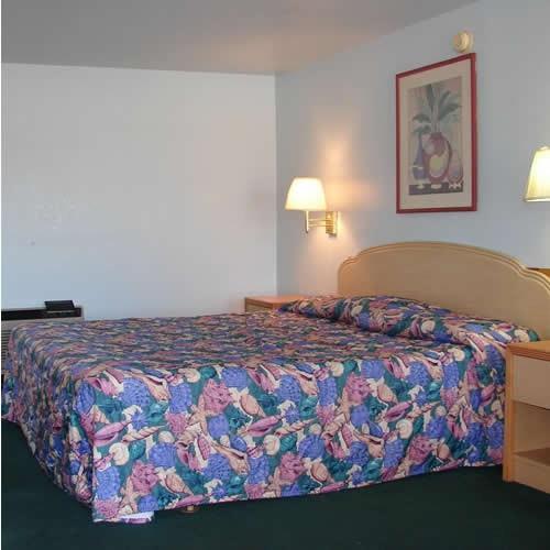 Motel Lion - St. Augustine