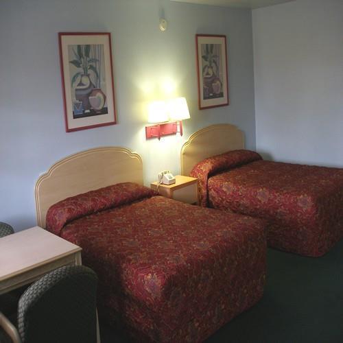 Motel Lion -