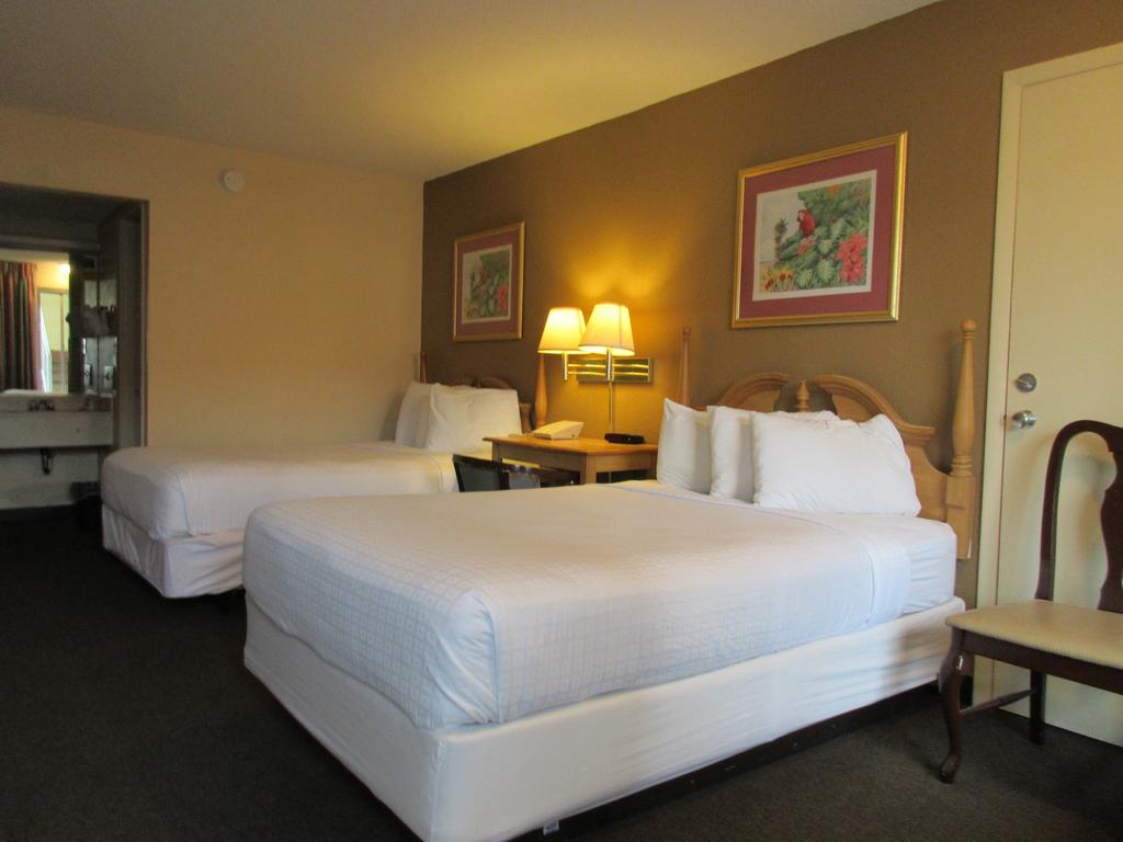 Roomba & At Old Town Kissimmee