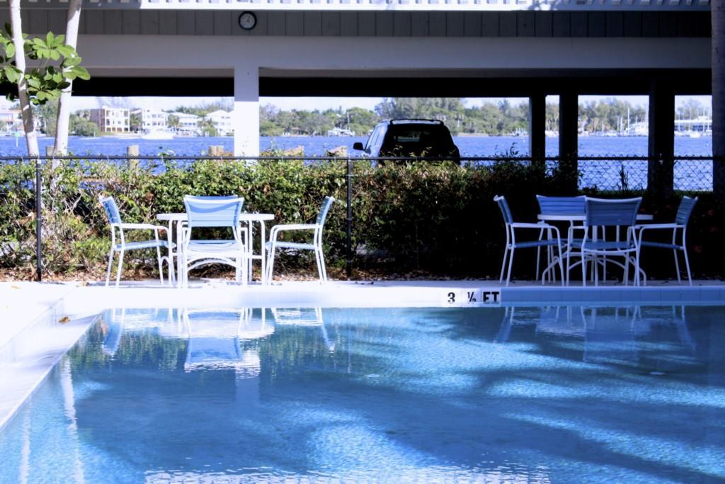 Anna Maria Island Palms 2b