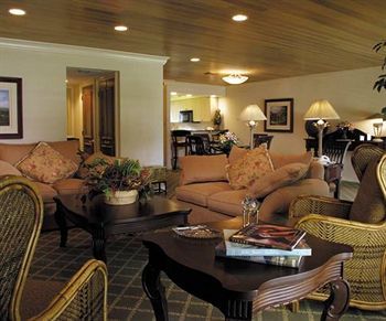 Resort Saddlebrook Golf & Tampa North-wesley Chapel Wesley Chapel
