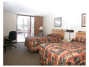Hotel Vista Tarpon