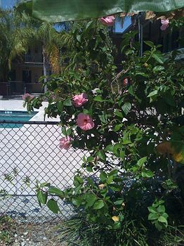 Key Largo Inn Motel